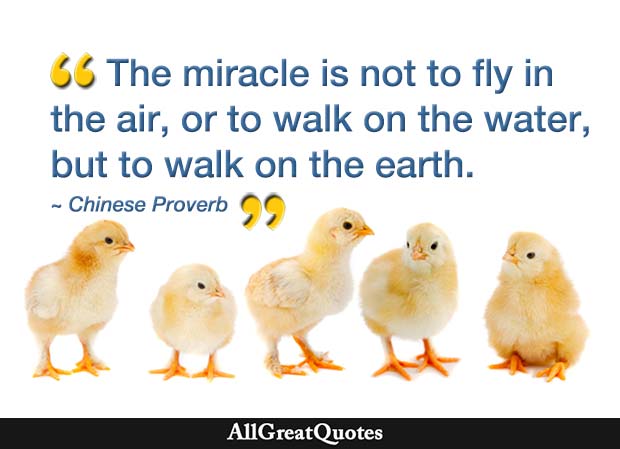 walk on the earth chinese proverb