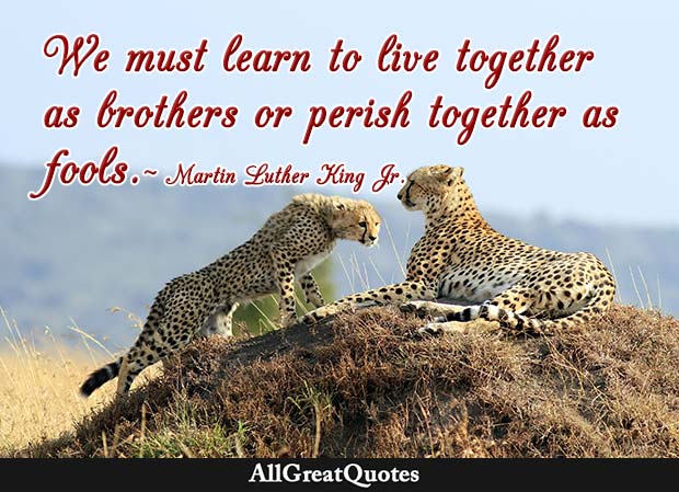 live together as brothers martin luther king