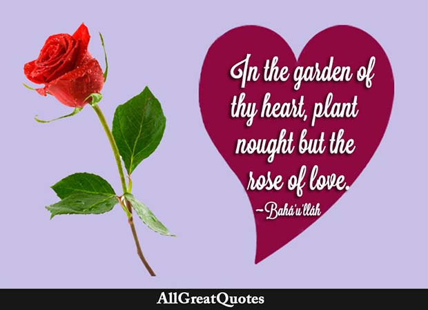 rose of love Bahá'u'lláh quote