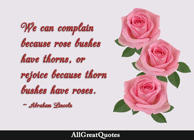 thorn bushes have roses quote - abraham lincoln