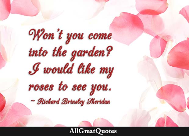 like my roses to see you quote - Richard Brinsley Sheridan