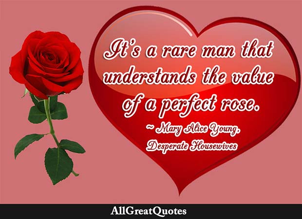 value of a perfect rose quote desperate housewives