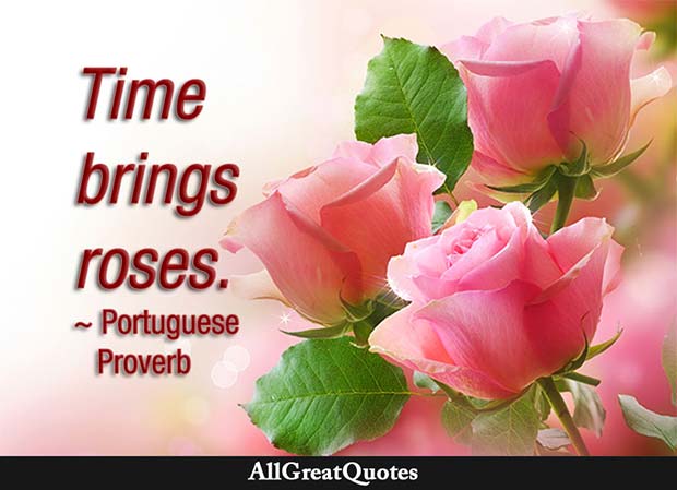 time brings roses quote - portuguese proverb