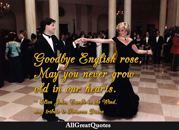 goodbye english rose quote - elton john