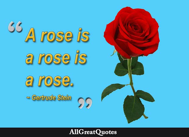 a rose is a rose gertrude stein