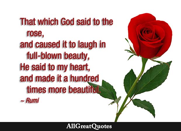 that which god said to the rose - rumi