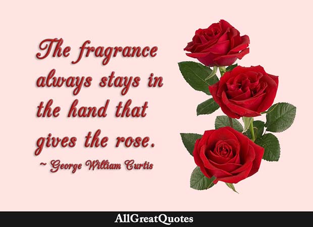 hand that gives the rose quote george william curtis