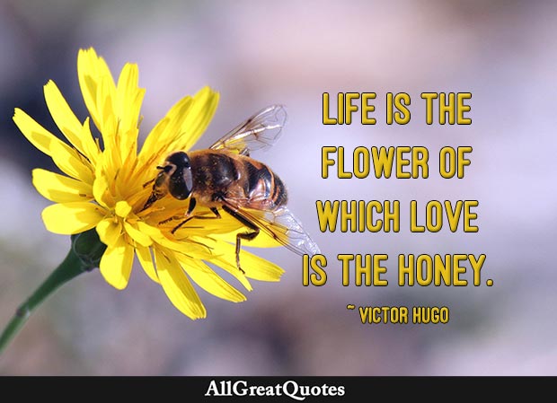 love is the honey - victor hugo