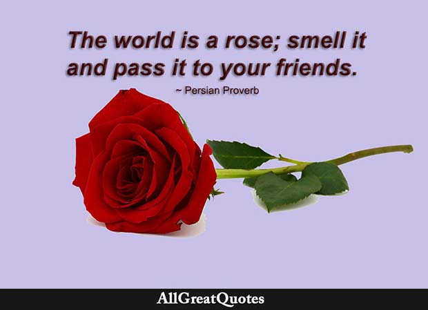 world is a rose quote - persian proberb