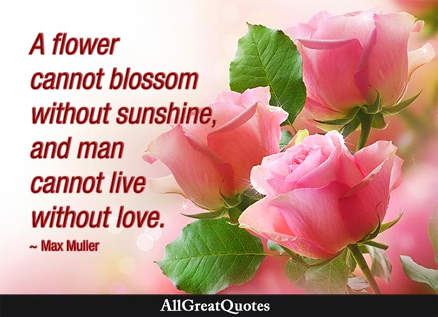 man cannot live without love max muller