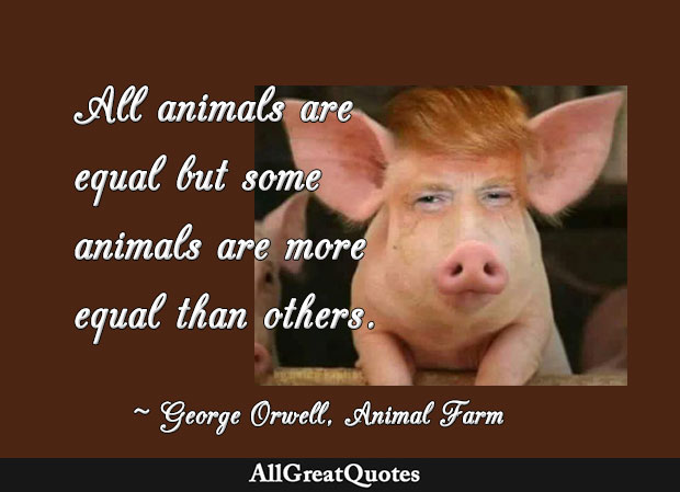 animals are equal but some are more equal than others - George Orwell