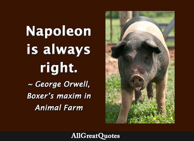Napoleon is always right - Boxer in Animal Farm