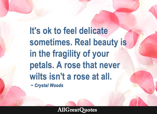 It's ok to feel delicate sometimes. Real beauty is in the fragility of your petals. A rose that never wilts isn't a rose at all - Crystal Woods